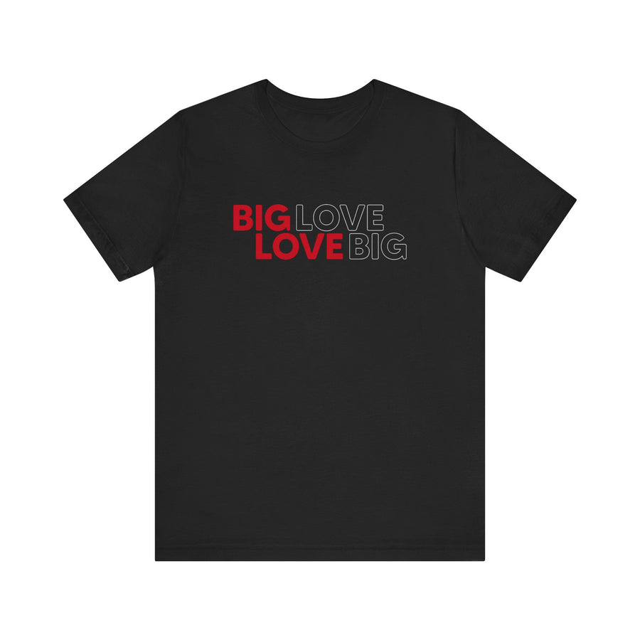 Big Love Tour Tee (Unisex)