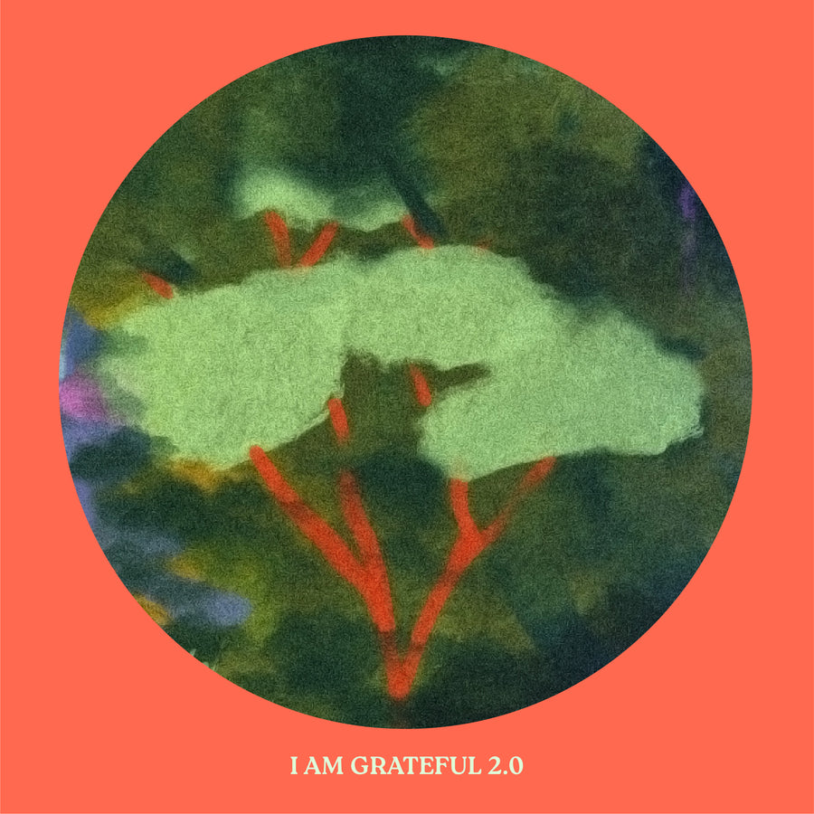 I Am Grateful 2.0 - Digital Single