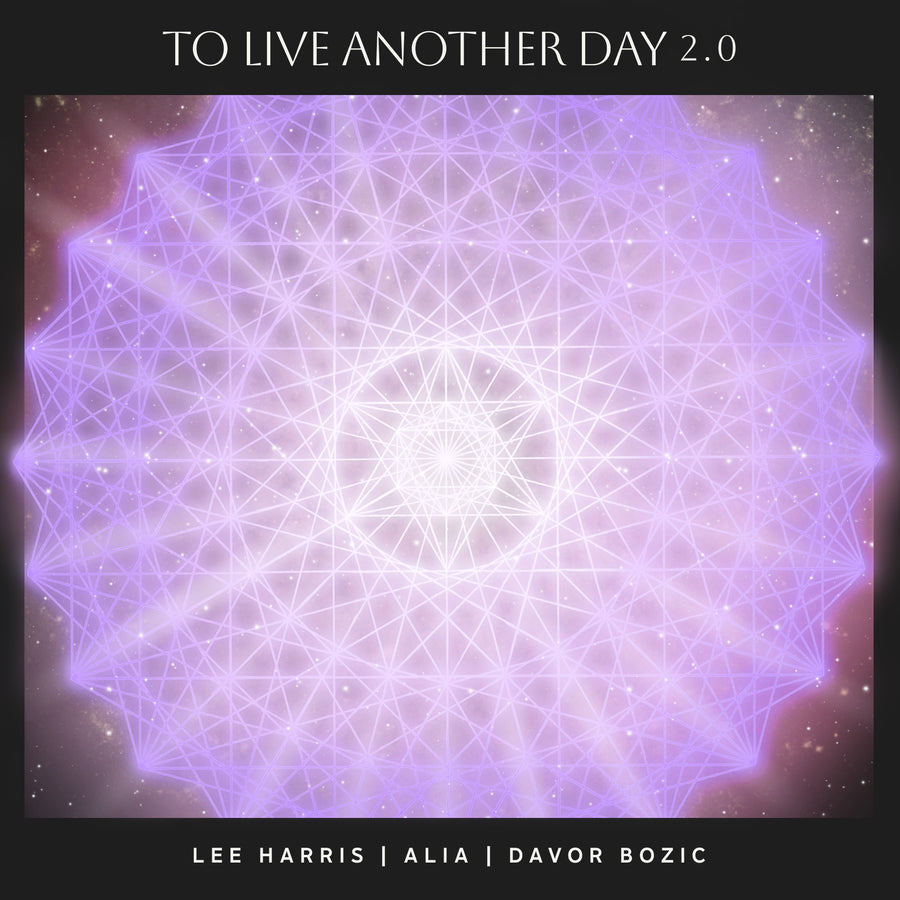 To Live Another Day 2.0 - Digital Single