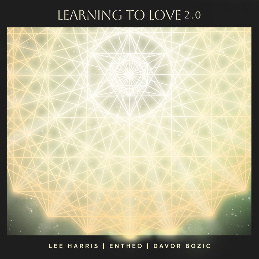 Learning to Love 2.0 - Digital Single