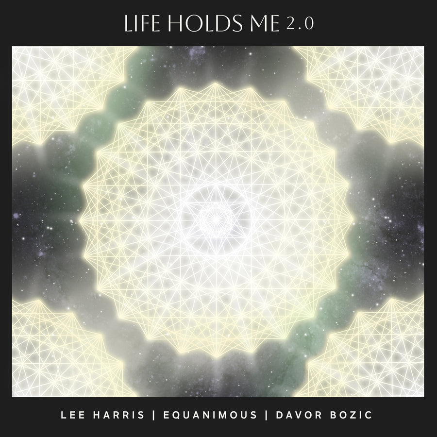 Life Holds Me 2.0 - Digital Single