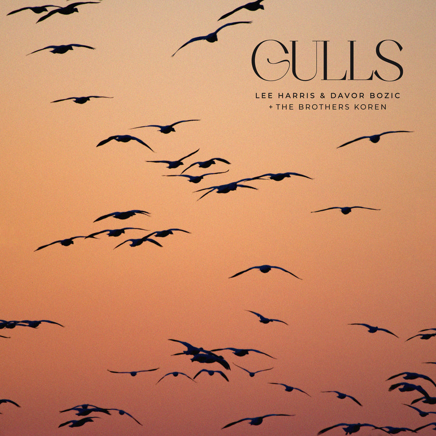 Gulls - Digital Single